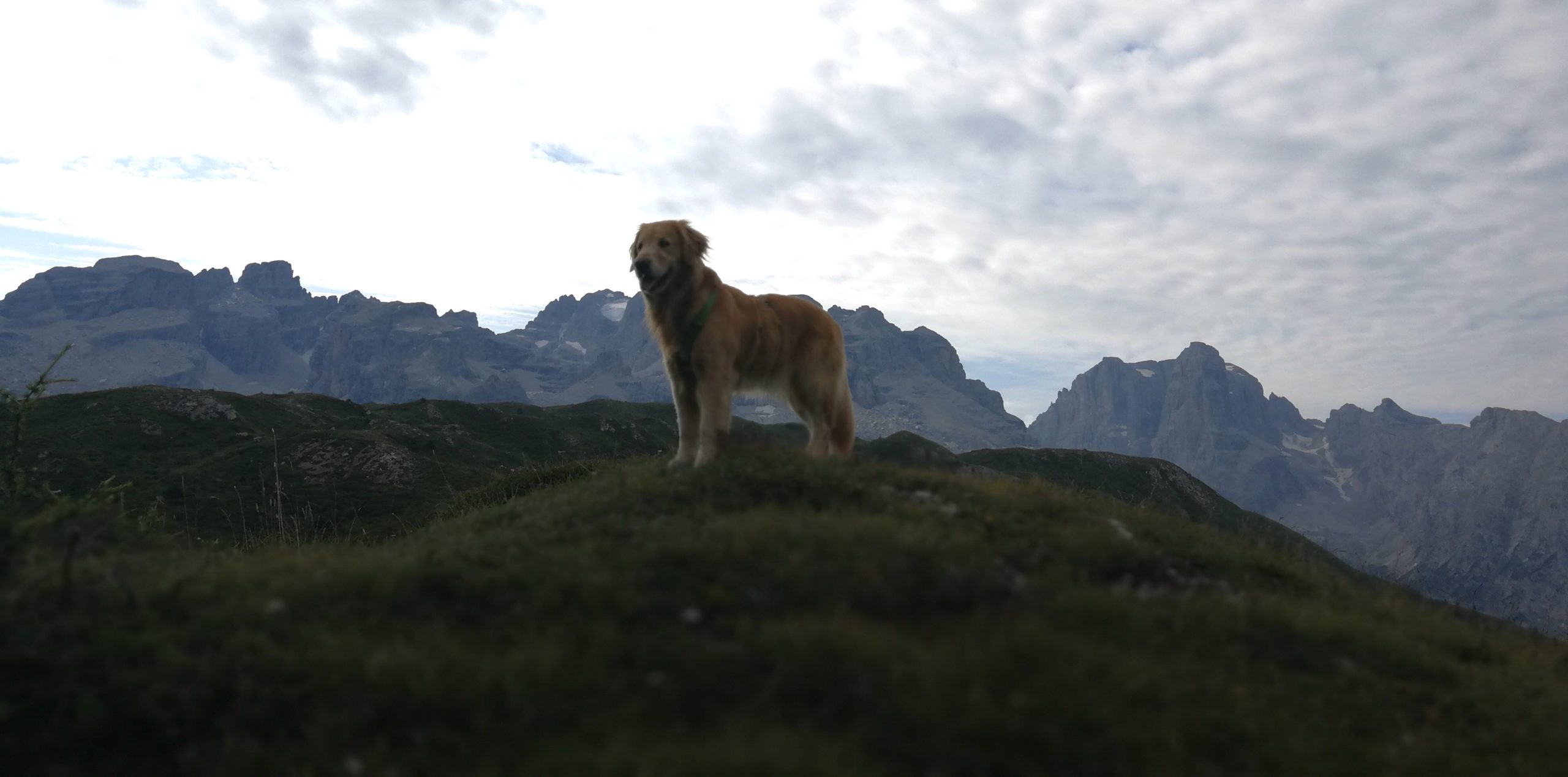 Il cane in trekking: cosa portare con noi - Fatti di Montagna