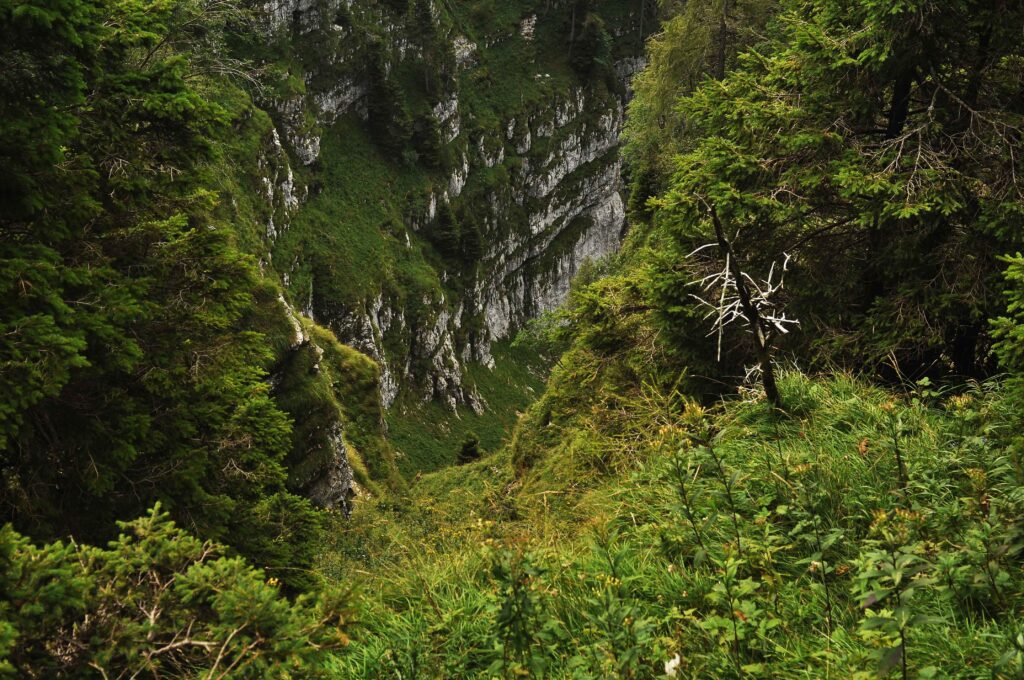 Sentieri parco nazionale delle dolomiti bellunesi