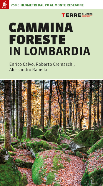 CamminaForeste in Lombardia low copia Il muro del Bob - Beatrice Chiovenda - Cammina foreste