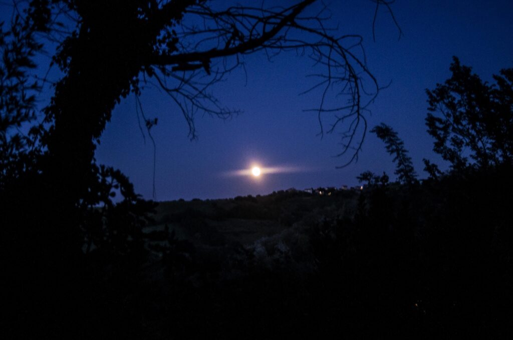 cairo notte luna La visione del poeta