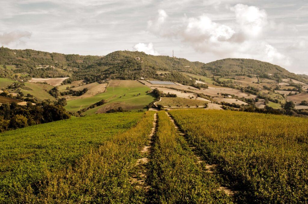 Sentieri e piste di terra attraversano campi poderi e pascoli Ep 8: Percorrere i sentieri del Piccolo Appennino