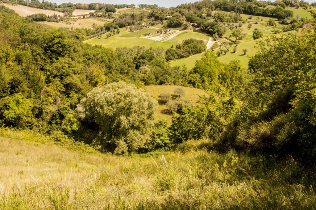 Un campo che lentamente ritorna a essere un Ep 8: Percorrere i sentieri del Piccolo Appennino