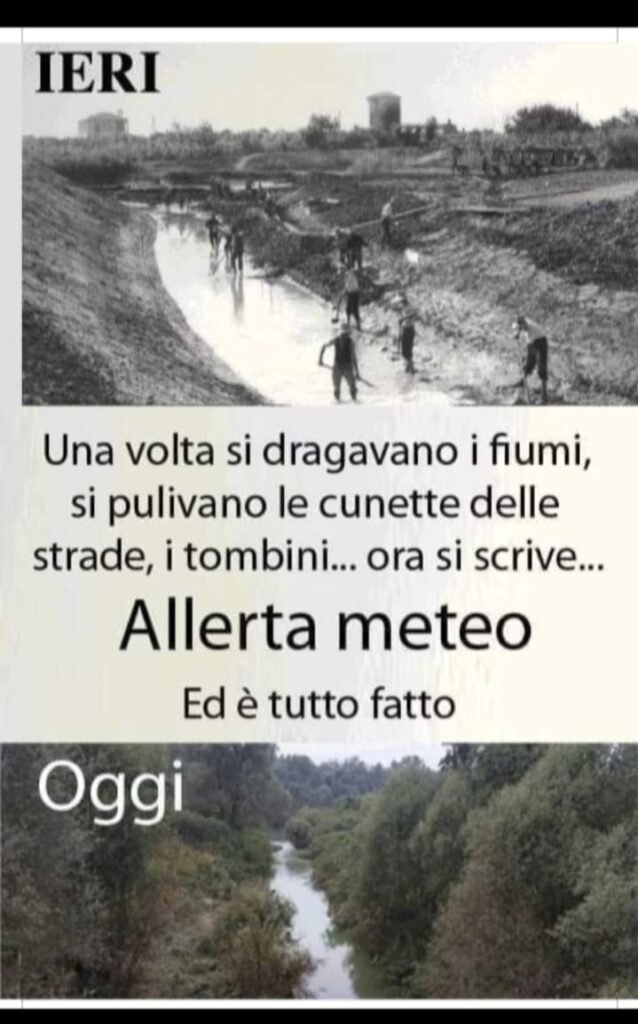 meme2 Alluvioni di fake