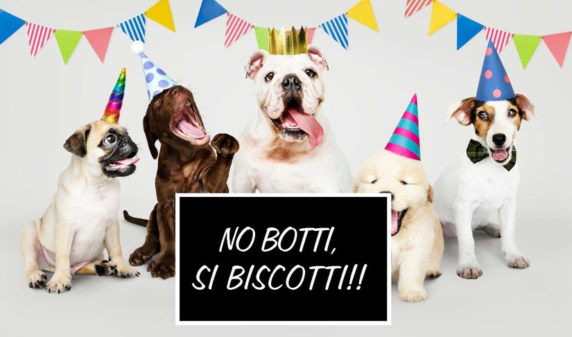 no ai botti si ai biscotti No ai botti: tuteliamo fauna selvatica e animai domestici