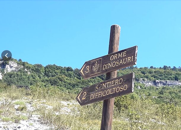 Impronte di dinosauri a Rovereto: tra fascino e valorizzazione impattante Orme ai Lavini di Rovereto Impronte di dinosauri a Rovereto: tra fascino e valorizzazione impattante