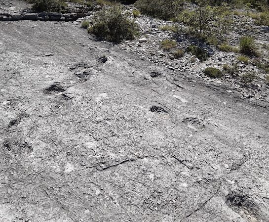 Impronte di dinosauri a Rovereto: tra fascino e valorizzazione impattante Orme ai Lavini Impronte di dinosauri a Rovereto: tra fascino e valorizzazione impattante