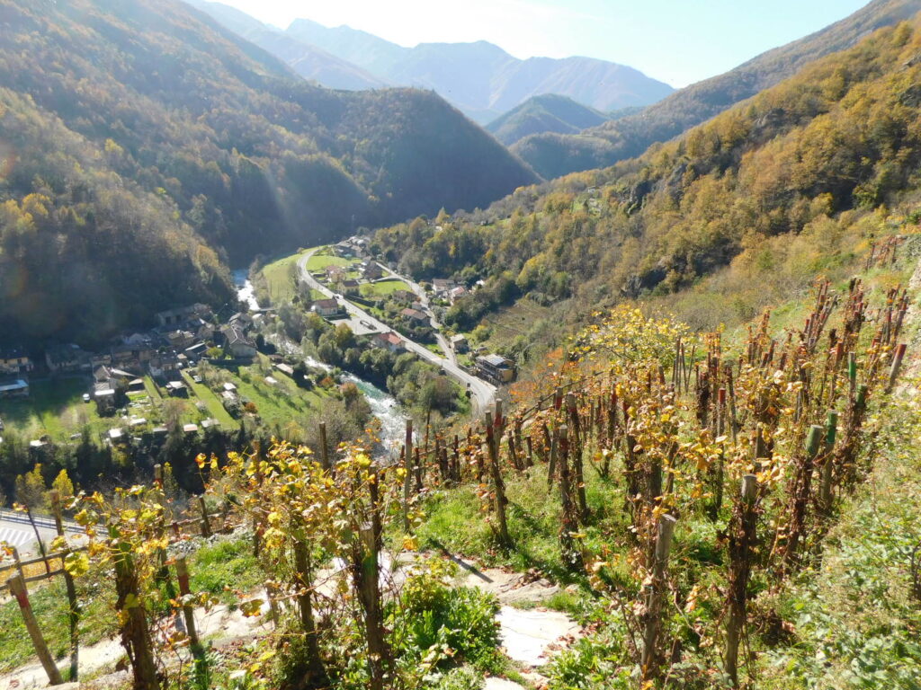 Valli Valdesi Valli Europee: un'occasione per scoprirle DSCN4530 Valli Valdesi Valli Europee: un'occasione per scoprirle