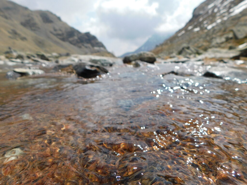 Monviso esemplare DSCN1317 Monviso esemplare
